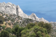 Ikaria