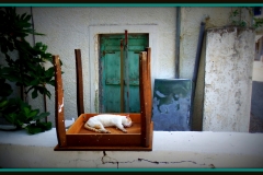 Ikaria