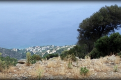Ikaria