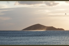 Leros