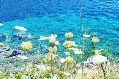 Leros