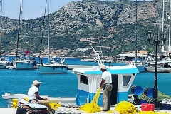 Lipsi