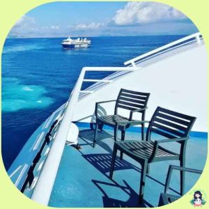 2 SEATS ON THE BLUE STAR FERRY ARRIVING AT RHODES